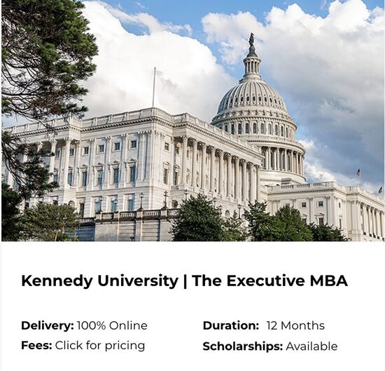 The Executive MBA - 1 520 000 CFP TTC